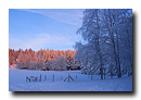 Coucher de la soleil hivernal sur la Fôret Noire en Allemagne