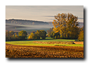 Matin d'automne dans le pays de Hanau