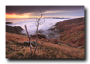 Mer de nuages sur le Kastelberg dans les Vosges, Hohneck, Haut-Rhin, Alsace, France