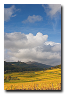 Chateau d'Andlau au dessus des vignes