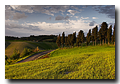 Crete Senesi, Tuscany, Italy, Région des Crete, Toscane, Italie