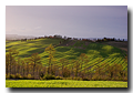 Near Albia, Crete Senesi, Tuscany, Italy, Région des Crete, Toscane, Italie