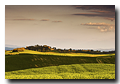 Crete Senesi, Tuscany, Italy, Région des Crete, Toscane, Italie