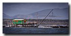 Cabane du pêcheur, Marina di Pisa, Pisa, Tuscany, Italy, Pise, Toscane, Italie