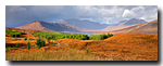 Near Loch Loyne, Highlands, Scotland