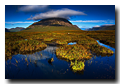 Bog, Buachaille Etive Mor, Rannoch Moor, Glencoe, Scotland