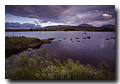 Rannoch Moor, Lochaber, Scotland