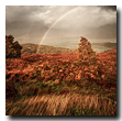 Upper Loch Torridon, Wester Ross, Highlands, Scotland