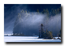 Sapins surplombant le Lac de Lispach, La Bresse, Vosges, France