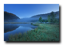 Tourbiere de Lispach, La Bresse, Vosges, France