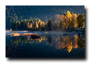 Tourbiere de Lispach, La Bresse, Vosges, France