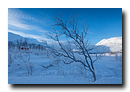 Mefjordvatnan, Senja, Troms, Norvège