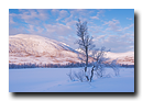 Svanelva, Tranøy, Senja, Troms, Norvège