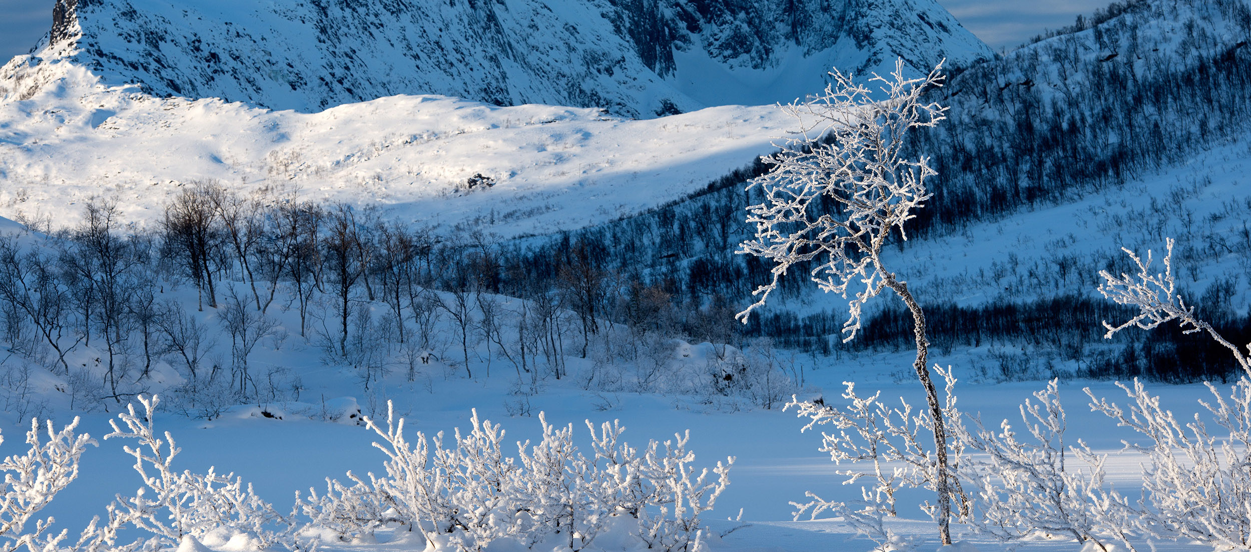 Photographie de paysage