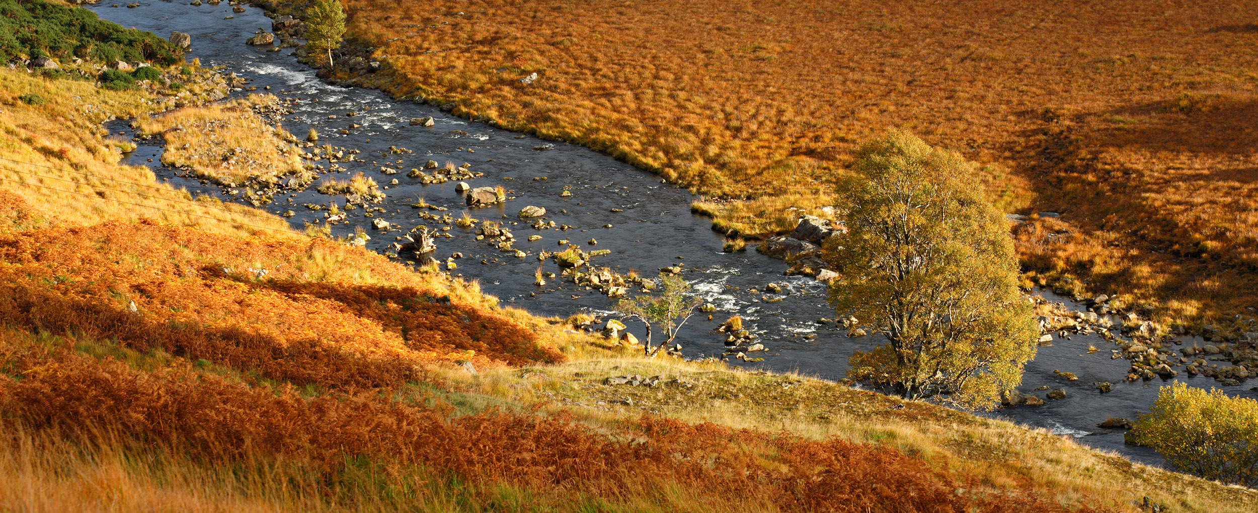 Photographie de paysage