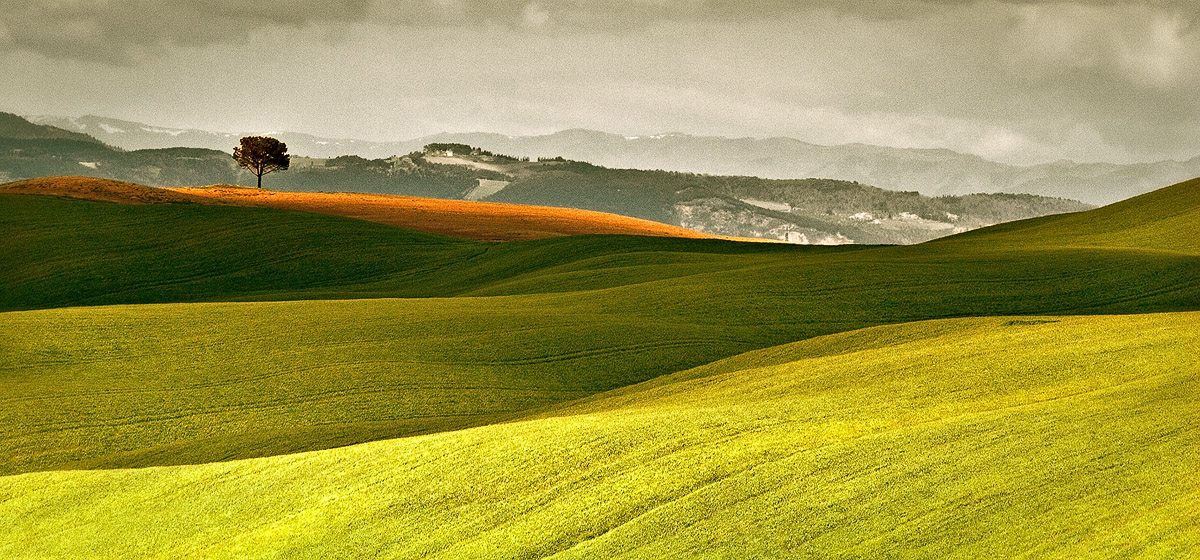 Champs en Toscane