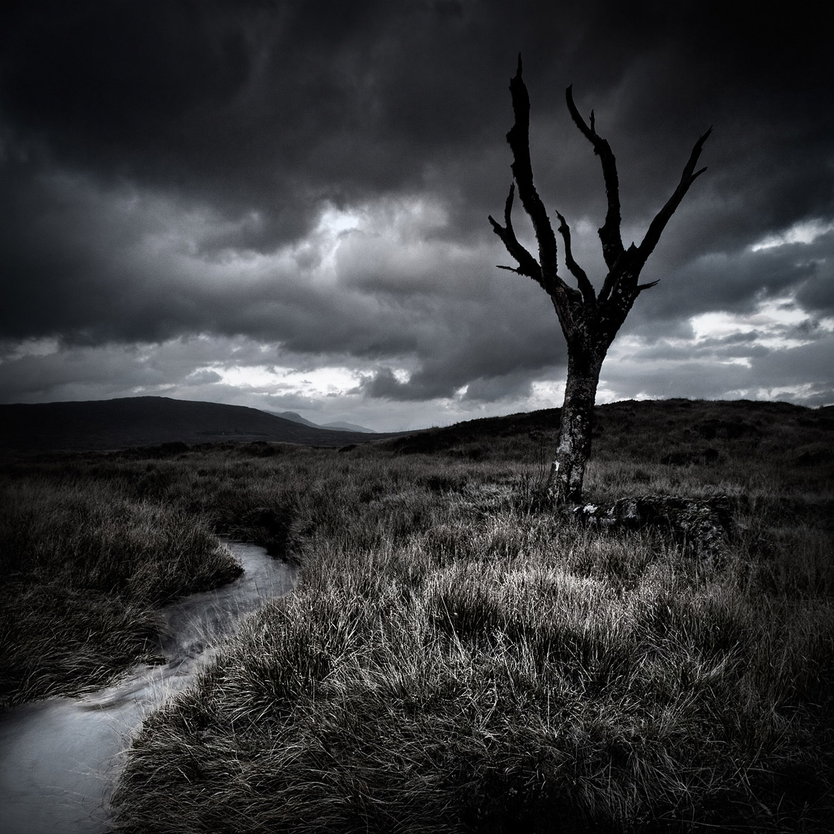 L'arbre mort, Rannoch Moor