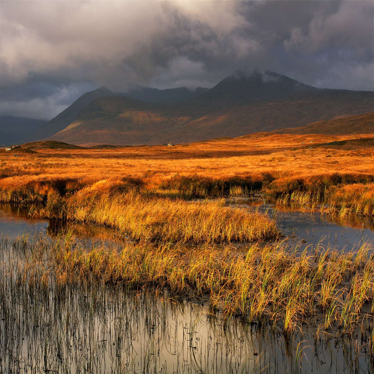 The mirror, Rannoch Moor