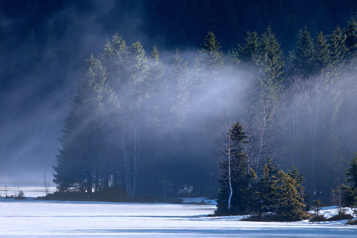 Fin de l'hivers