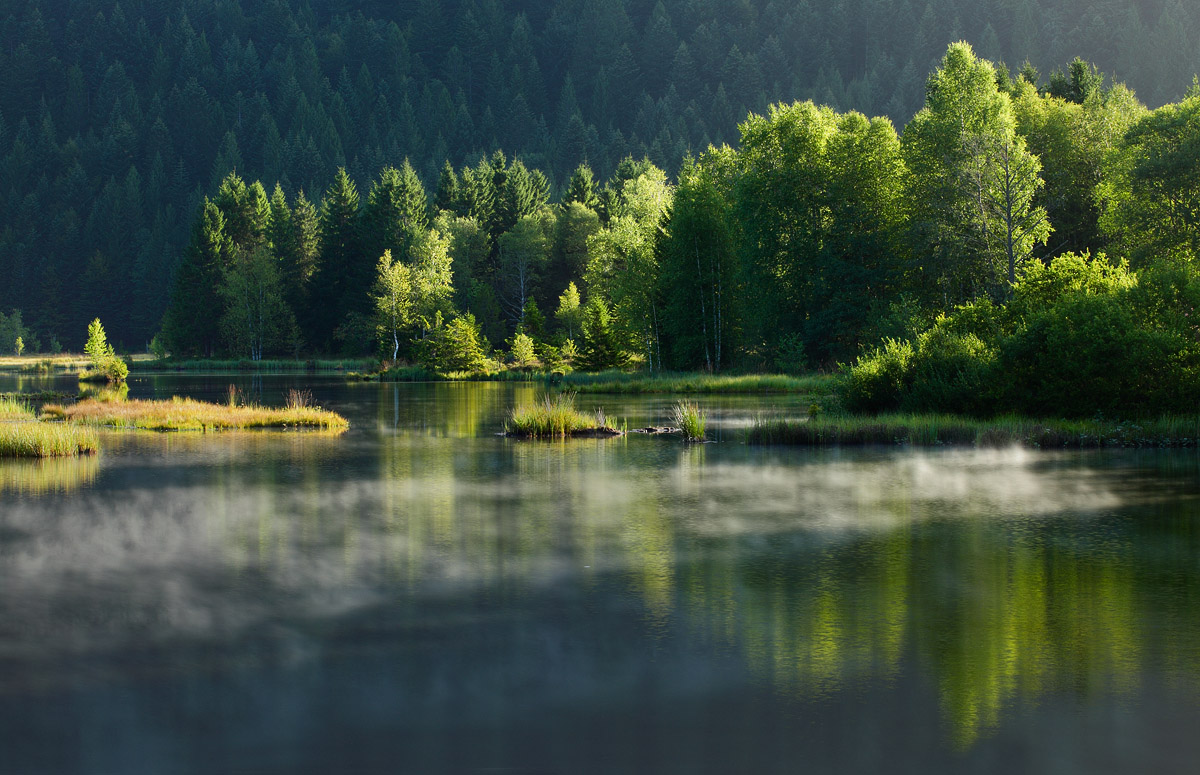 Etang de Lispach