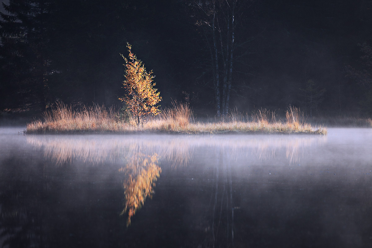 Solitude