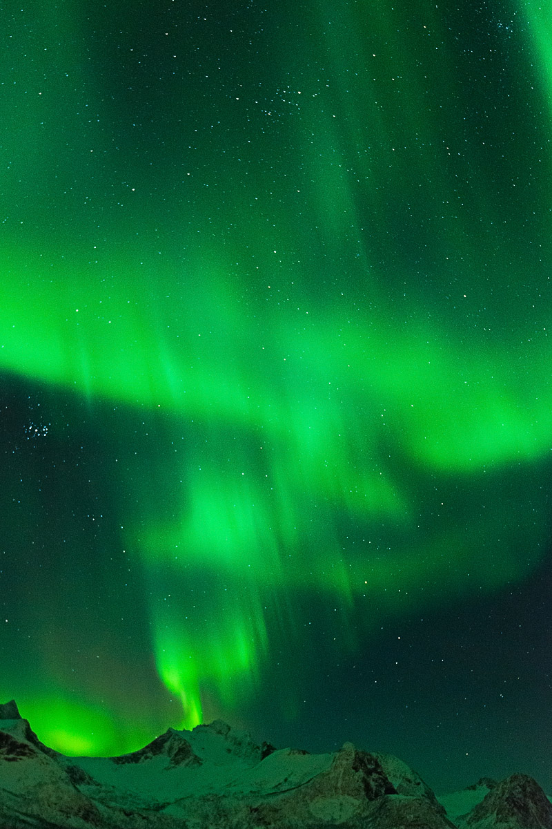 The Green Lantern